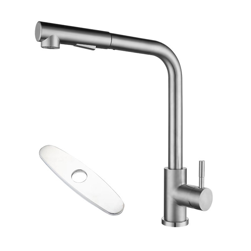 Brushed Stainless Pull-Out Kitchen Faucet (7-Shape Dual Spray)